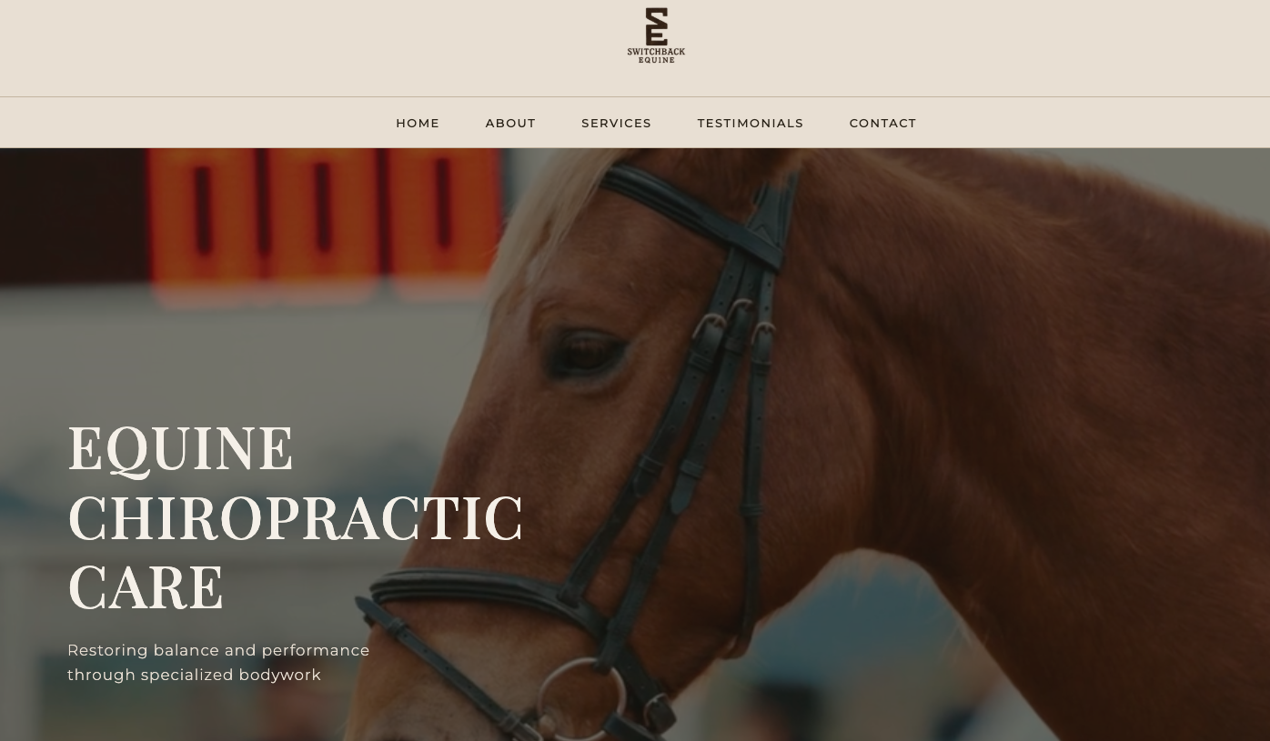 The Switchback Equine homepage, with the headline "Equine Chiropractic Care" over a close-up photograph of a bridled horse